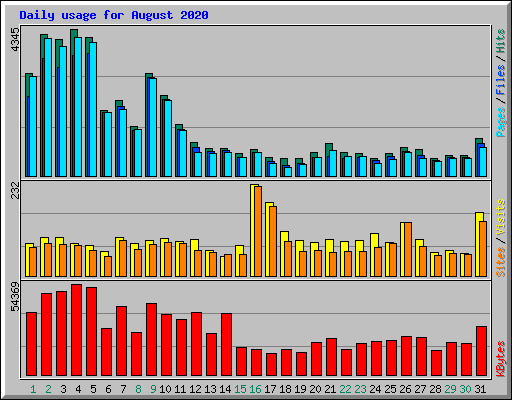 Daily usage for August 2020
