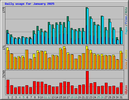 Daily usage for January 2025