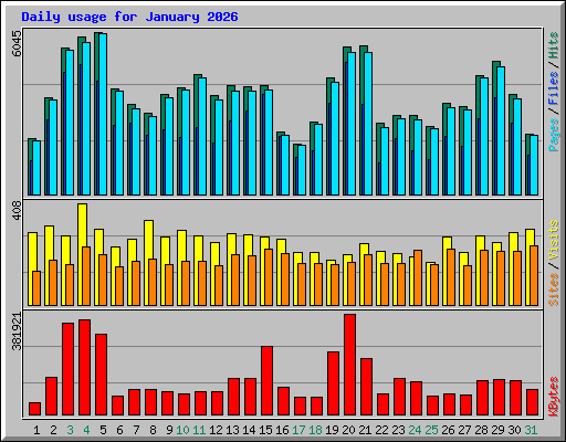 Daily usage for January 2026