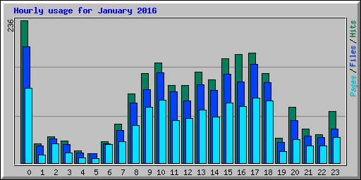 Hourly usage for January 2016