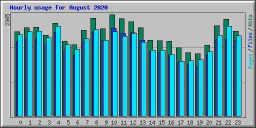 Hourly usage for August 2020