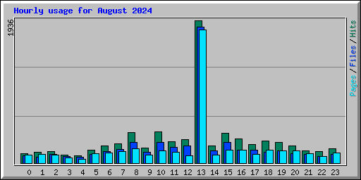Hourly usage for August 2024