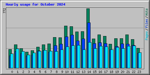 Hourly usage for October 2024
