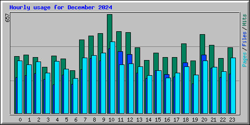Hourly usage for December 2024