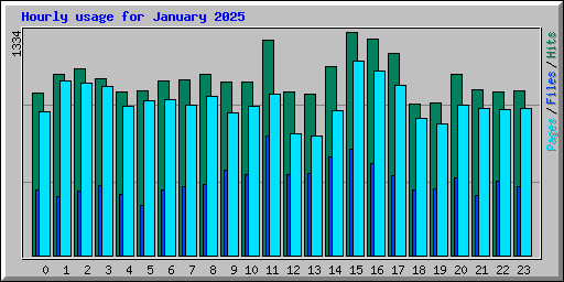 Hourly usage for January 2025