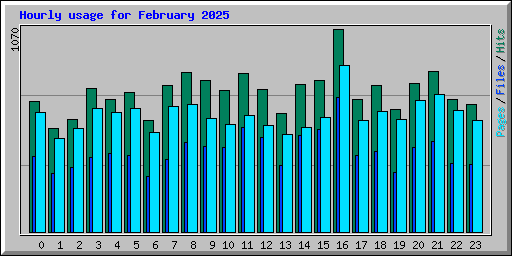 Hourly usage for February 2025
