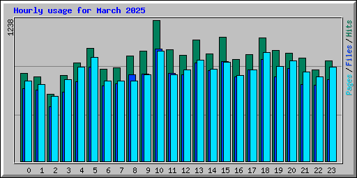 Hourly usage for March 2025