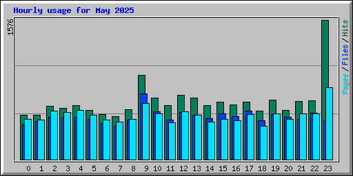 Hourly usage for May 2025