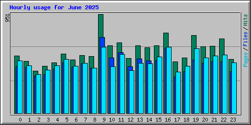 Hourly usage for June 2025