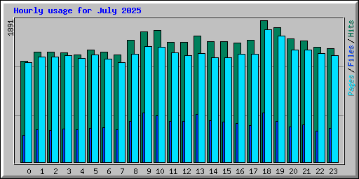 Hourly usage for July 2025