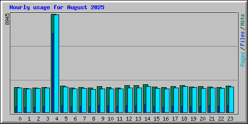 Hourly usage for August 2025