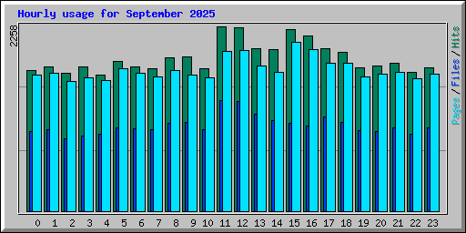 Hourly usage for September 2025