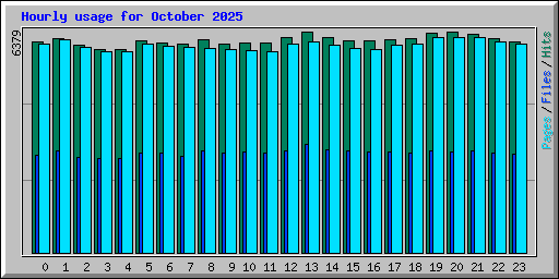 Hourly usage for October 2025