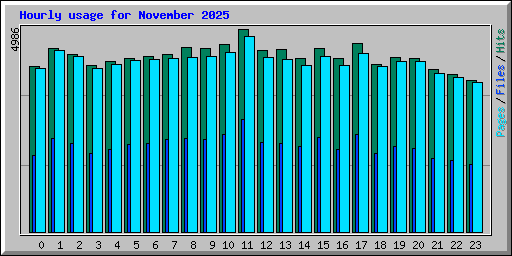 Hourly usage for November 2025