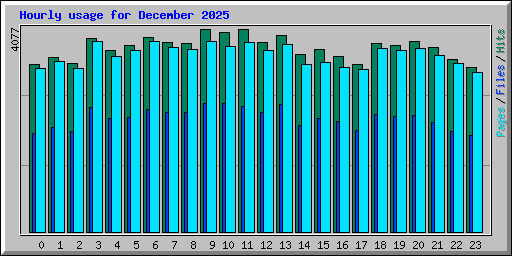 Hourly usage for December 2025