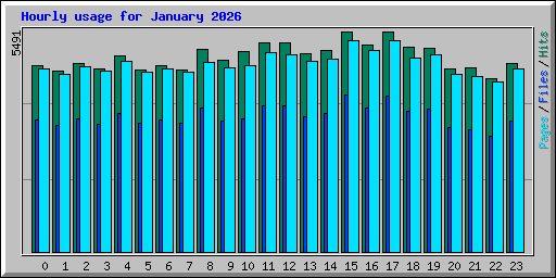 Hourly usage for January 2026