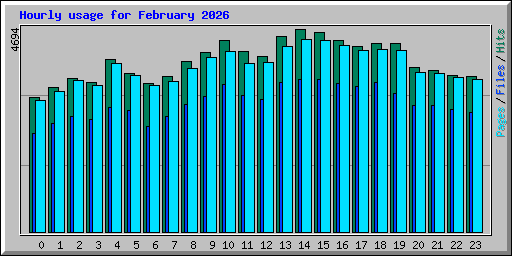 Hourly usage for February 2026